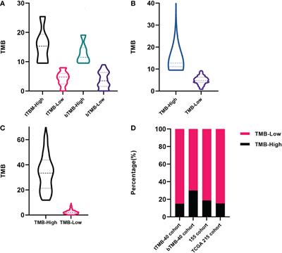 Prognostic value of tumor mutation burden in patients with advanced gastric cancer receiving first-line chemotherapy